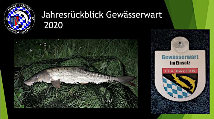 Jahresrückblick 2020